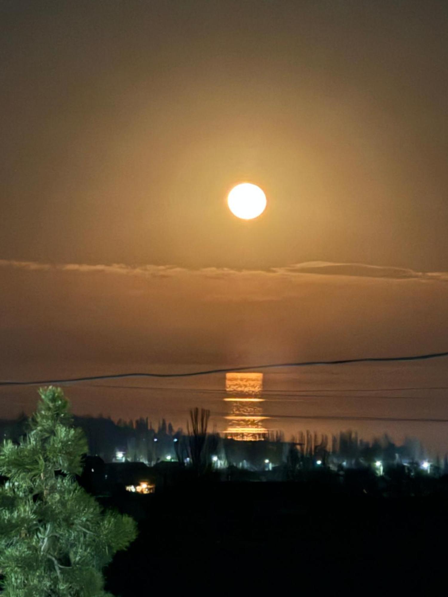 Best Çolpan Ata Dış mekan fotoğraf
