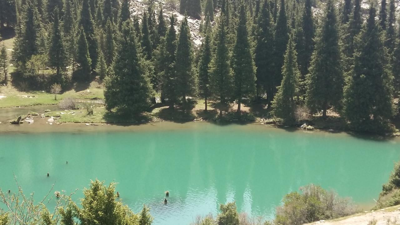 Best Çolpan Ata Dış mekan fotoğraf
